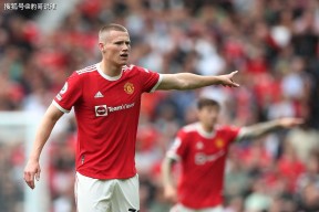 开云体育下载-阿根廷国脚转投英超，新赛季期待大放异彩()